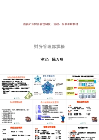 《鑫福矿业财务管理制度、流程、报表讲解教材》(118