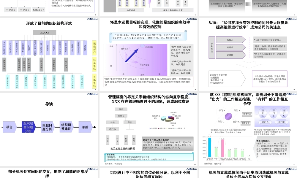 世界五百强企业石油公司的组织结构设计全案