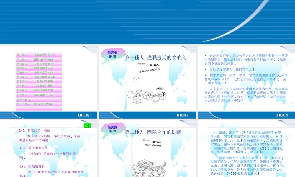世界五百强企业最需要的种人材