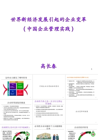 世界新经济发展引起的企业变革