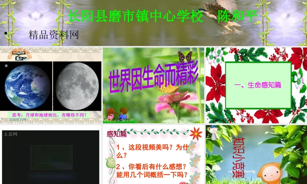 世界因生命而精彩