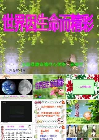 世界因生命而精彩