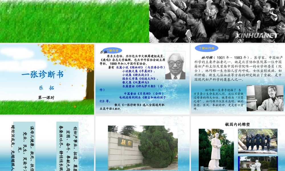 《一张诊断书》