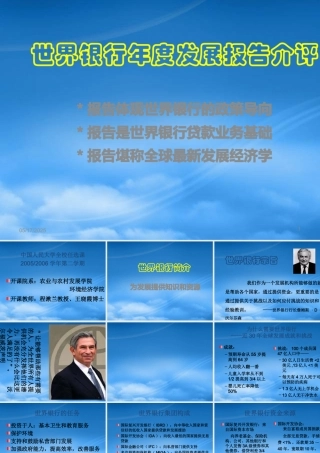 世界银行年度发展报告评析