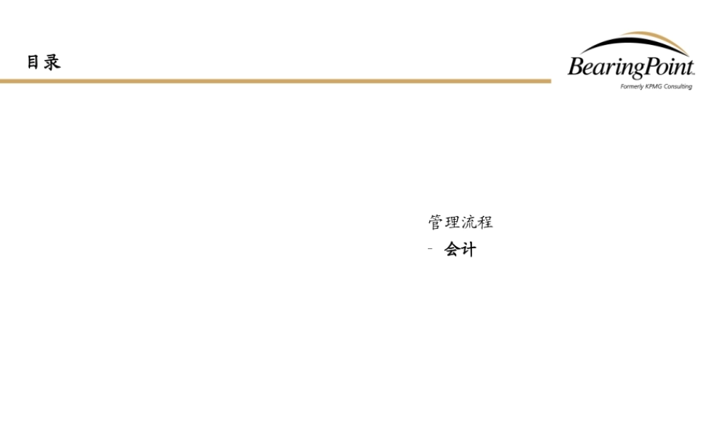 【清华紫光：Bearingpoint-会计管理流程】