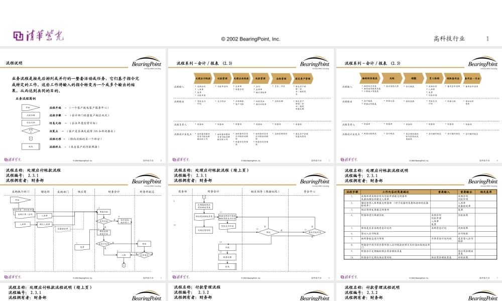 【清华紫光：Bearingpoint-会计管理流程】
