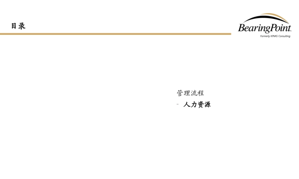 【清华紫光：Bearingpoint-人力资源管理流程】