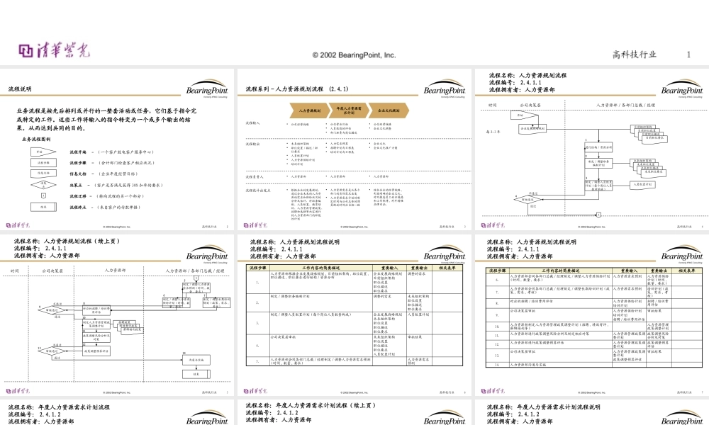 【清华紫光：Bearingpoint-人力资源管理流程】