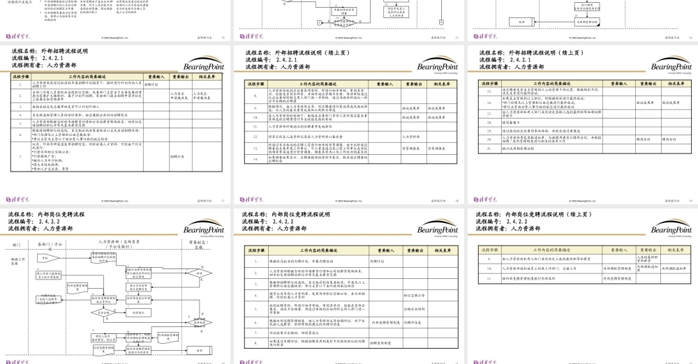 【清华紫光：Bearingpoint-人力资源管理流程】