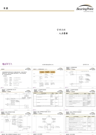【清华紫光：Bearingpoint-人力资源管理流程】
