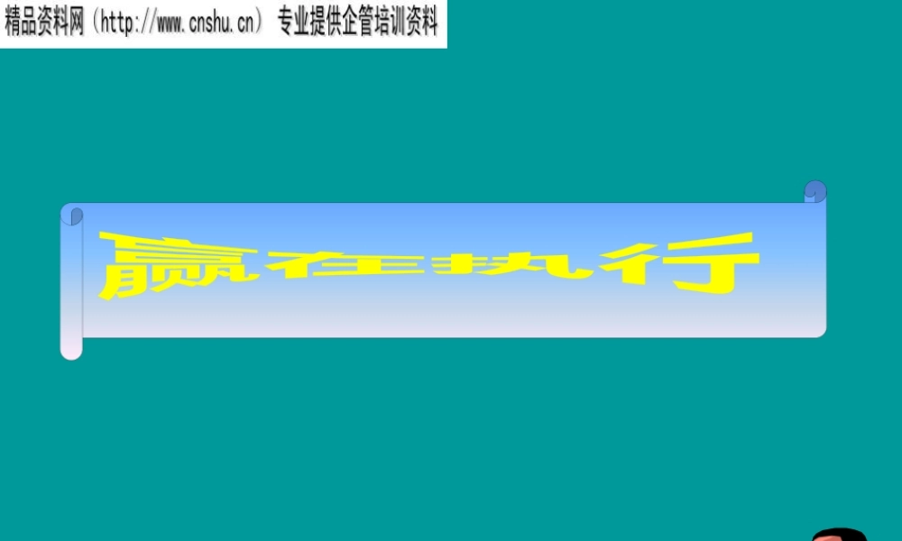 世界优秀企业的执行原则