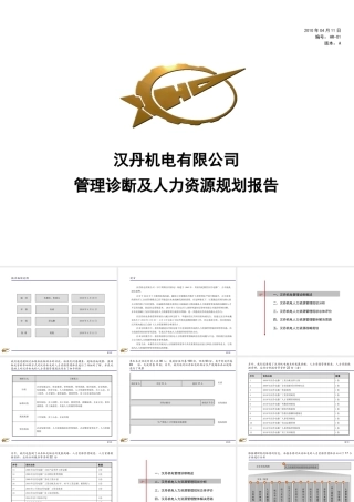 【实例】某公司人力资源诊断及规划报告
