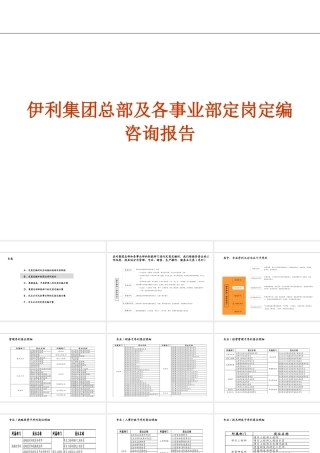 【实例】伊利集团总部及各事业部定岗定编咨询报告-98页