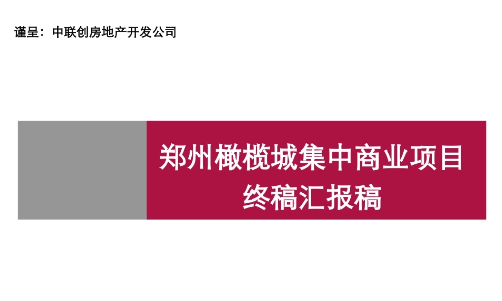 【世联】郑州橄榄城集中商业项目汇报稿