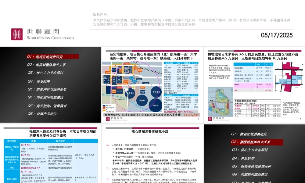 【世联】郑州橄榄城集中商业项目汇报稿