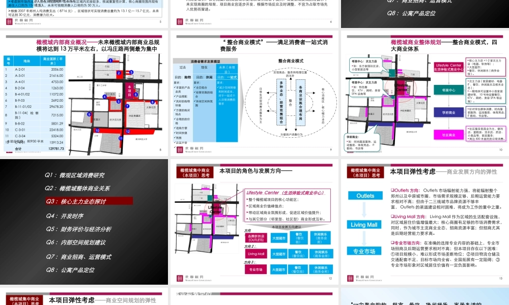 【世联】郑州橄榄城集中商业项目汇报稿