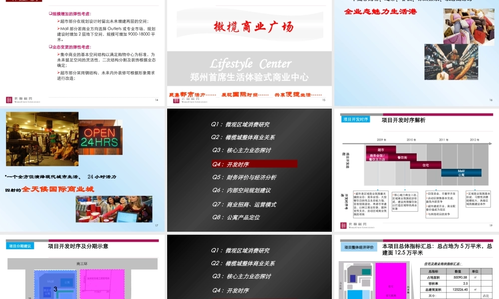 【世联】郑州橄榄城集中商业项目汇报稿