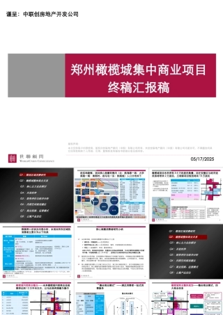 【世联】郑州橄榄城集中商业项目汇报稿