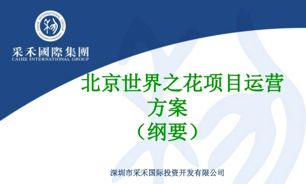 世界之花项目运营方案