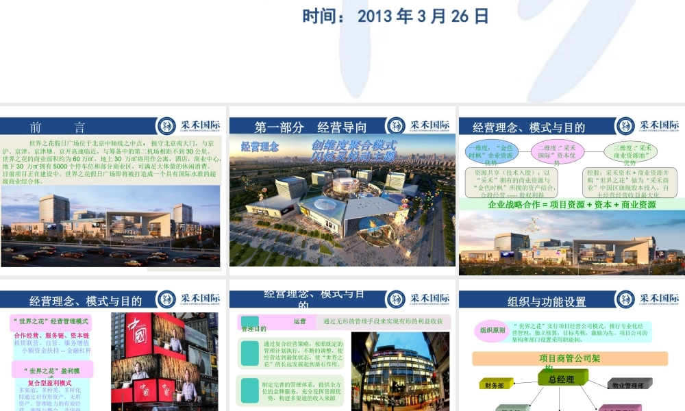 世界之花项目运营方案