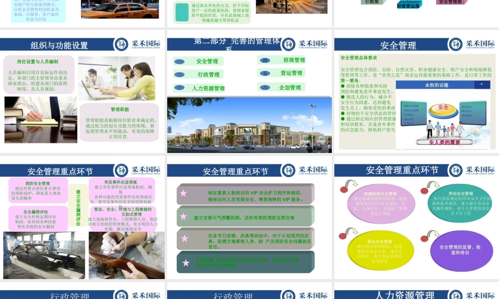 世界之花项目运营方案