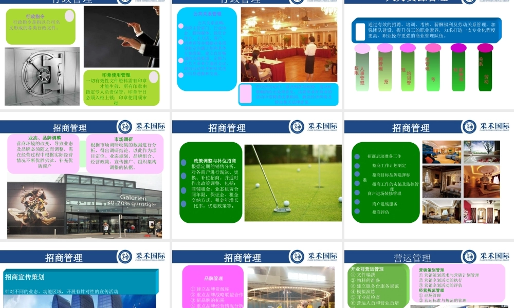 世界之花项目运营方案