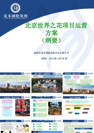 世界之花项目运营方案