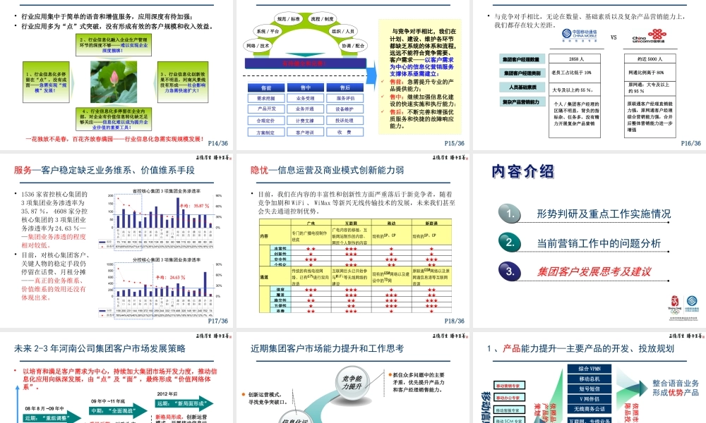 【通信行业--河南移动集团客户发展策略】
