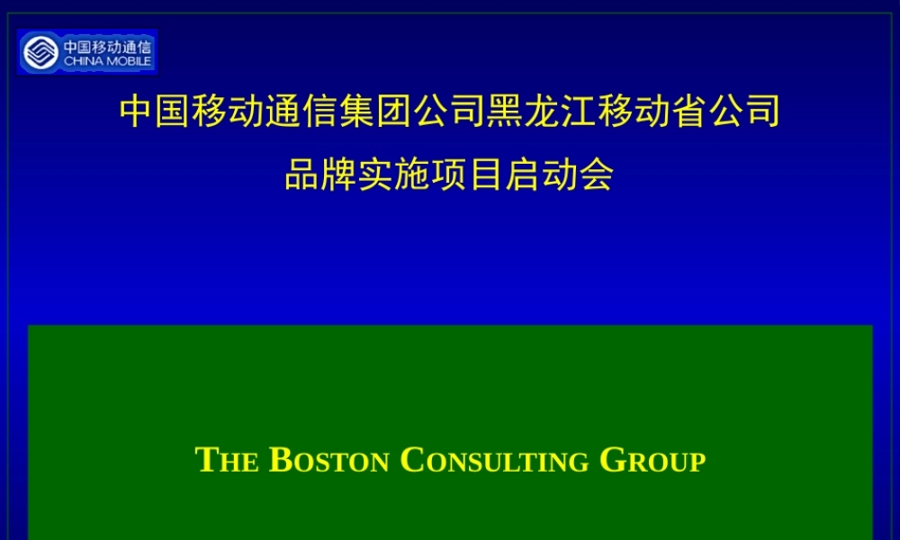 【通信行业--某著名管理咨询公司－黑龙江移动咨询资料】