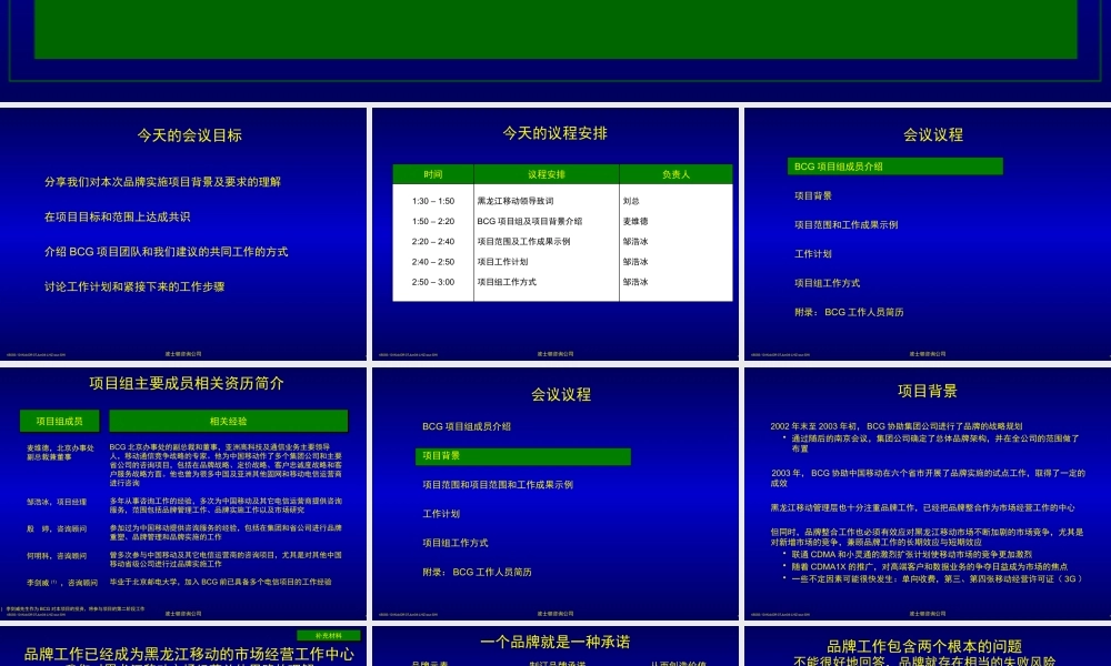 【通信行业--某著名管理咨询公司－黑龙江移动咨询资料】