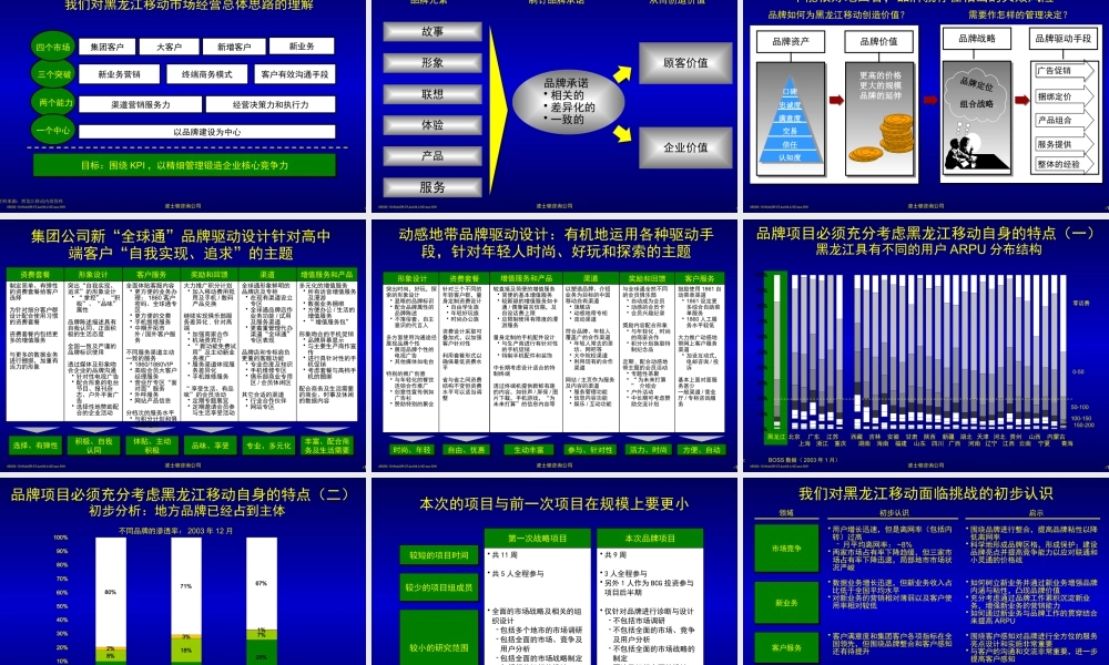 【通信行业--某著名管理咨询公司－黑龙江移动咨询资料】