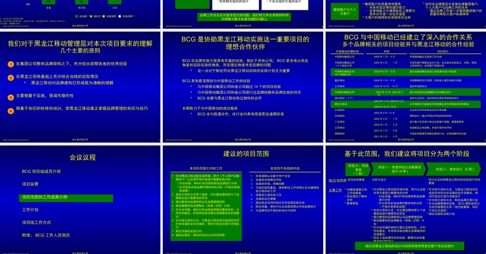 【通信行业--某著名管理咨询公司－黑龙江移动咨询资料】