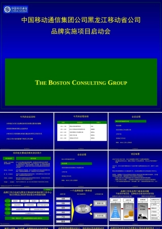 【通信行业--某著名管理咨询公司－黑龙江移动咨询资料】