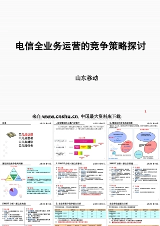 【通信行业--山东移动电信全业务运营的竞争策略探讨】