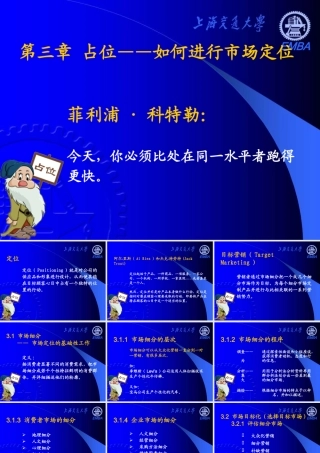 《营销分析与决策》——第三章 占位