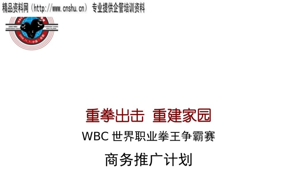 世界职业拳王争霸赛招商手册