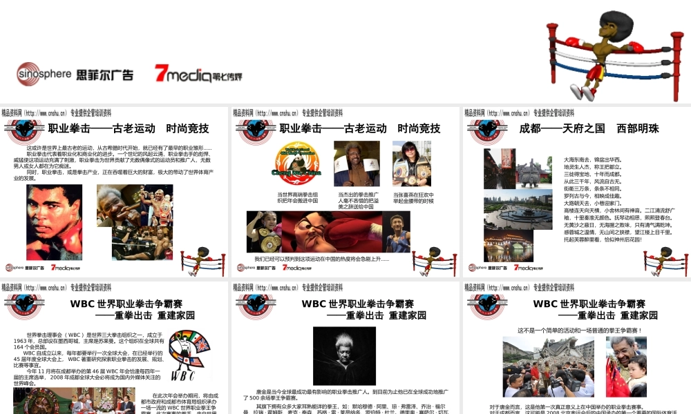 世界职业拳王争霸赛招商手册