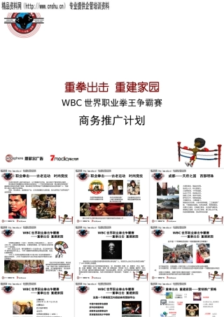 世界职业拳王争霸赛招商手册