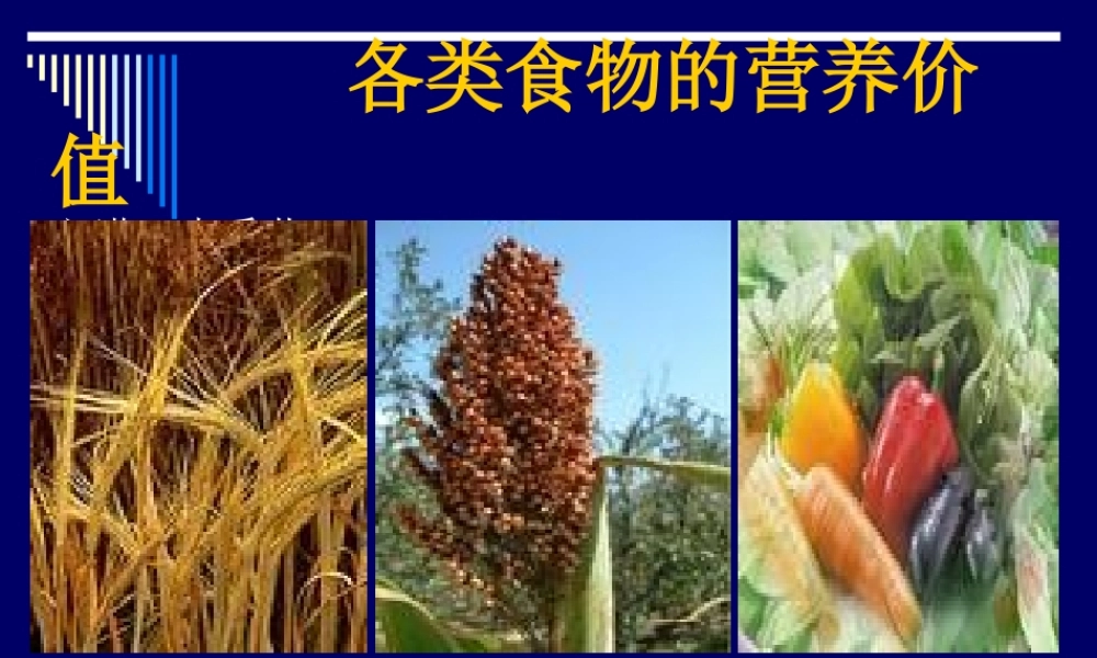 《营养师资料》各类食物的营养价值