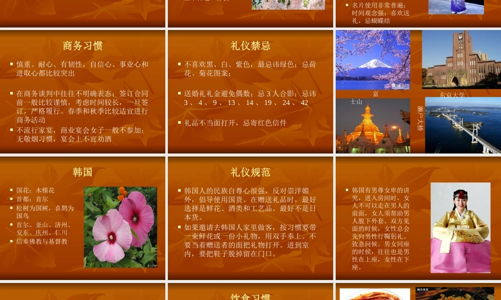 世界主要国家的礼仪习俗及禁忌(PPT 页)