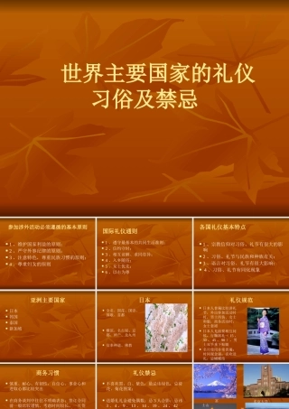 世界主要国家的礼仪习俗及禁忌(PPT 页)