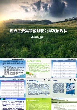 世界主要集装箱班轮公司发展现状