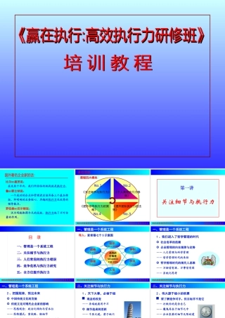 《赢在执行高效执行力研修班》