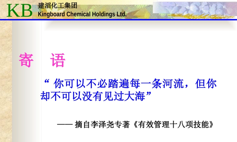 《有效管理十八项技能之企业执行力》——建滔