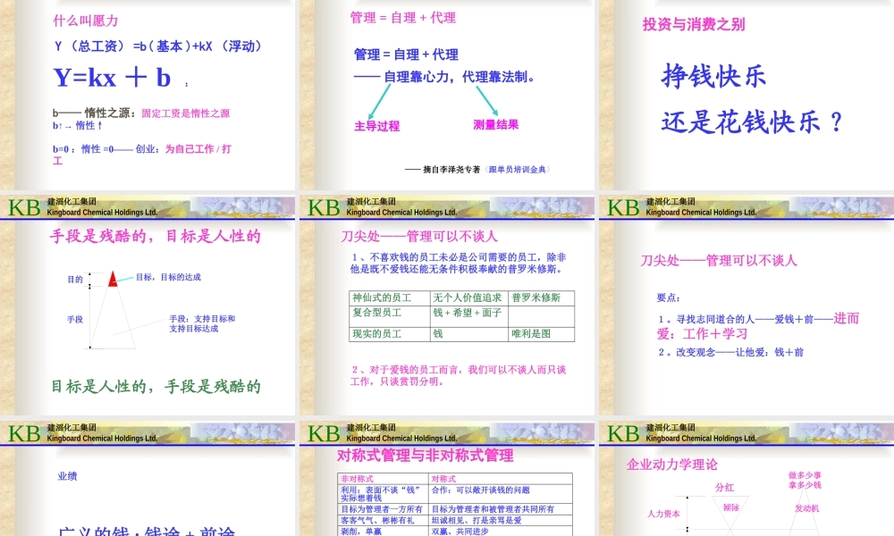《有效管理十八项技能之企业执行力》——建滔