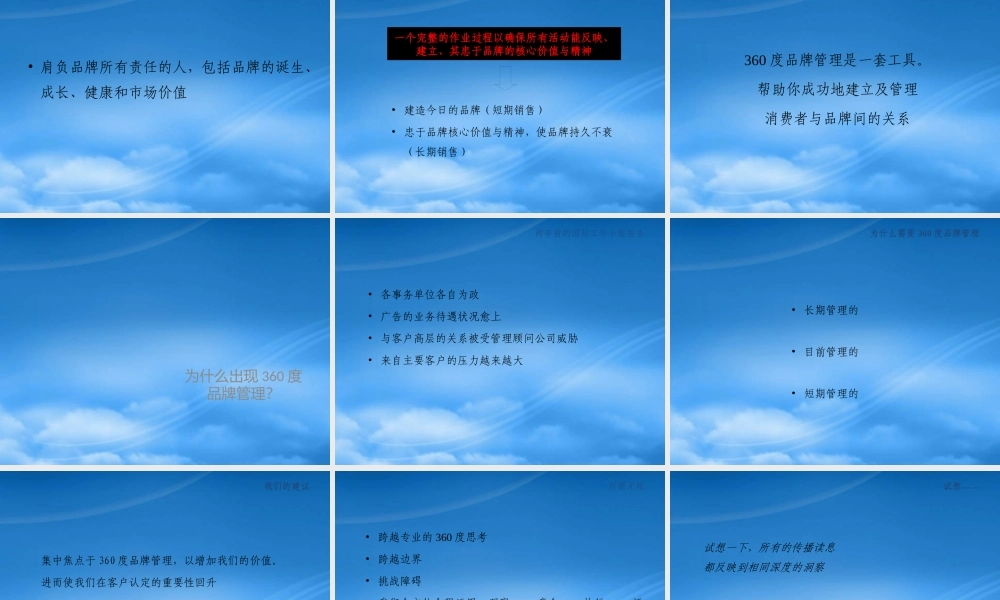 世界著名广告策划公司360度品牌管理