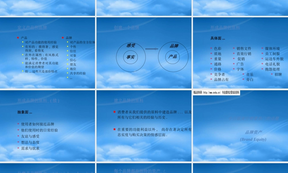 世界著名广告策划公司——品牌管理之道