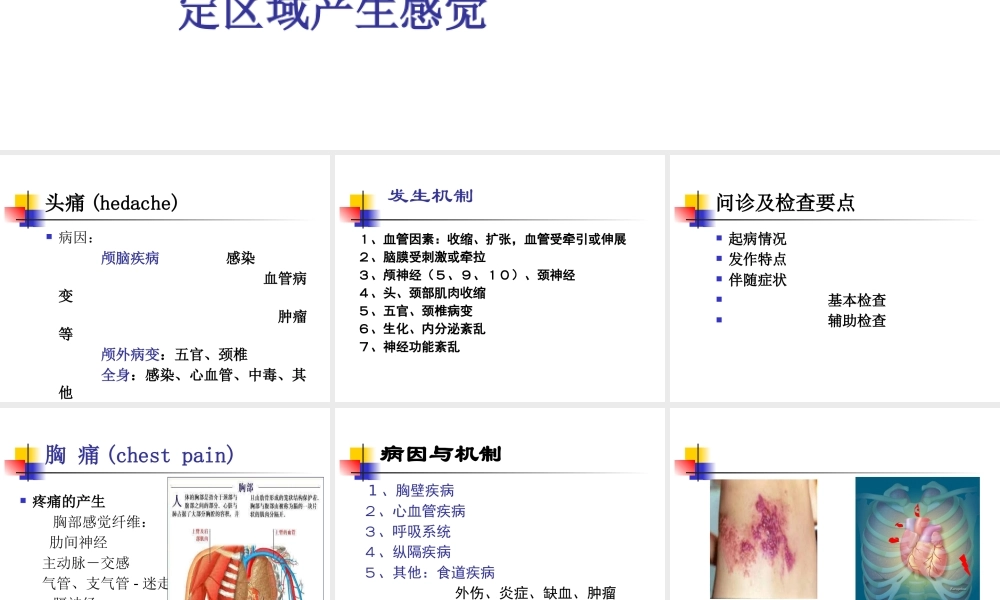 【西医诊断学幻灯片】疼痛3