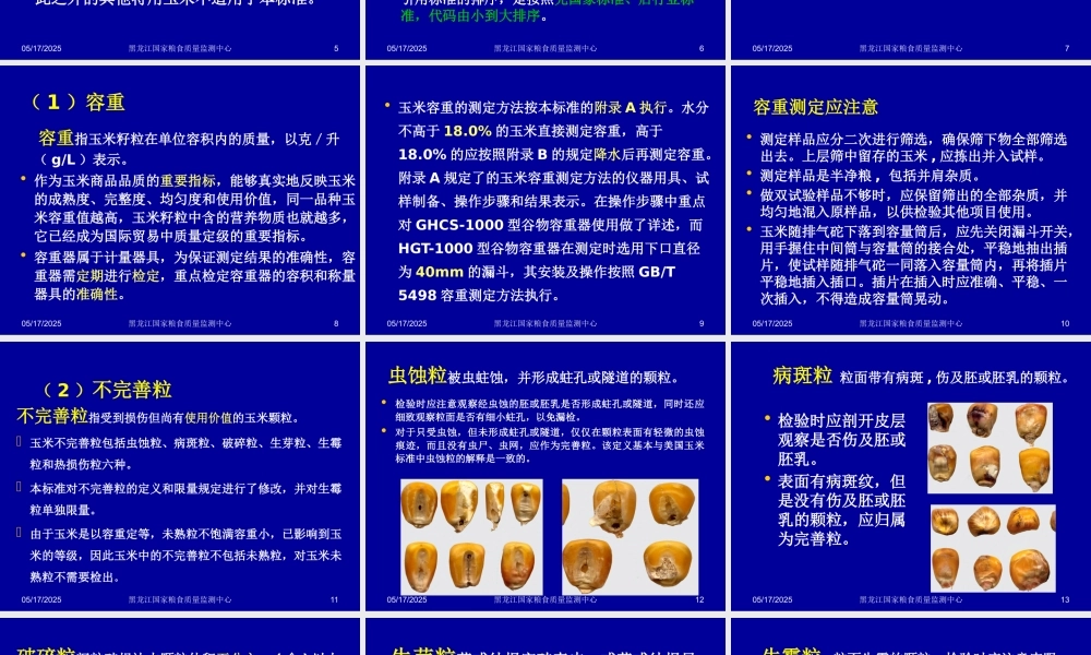 《玉米》729讲稿