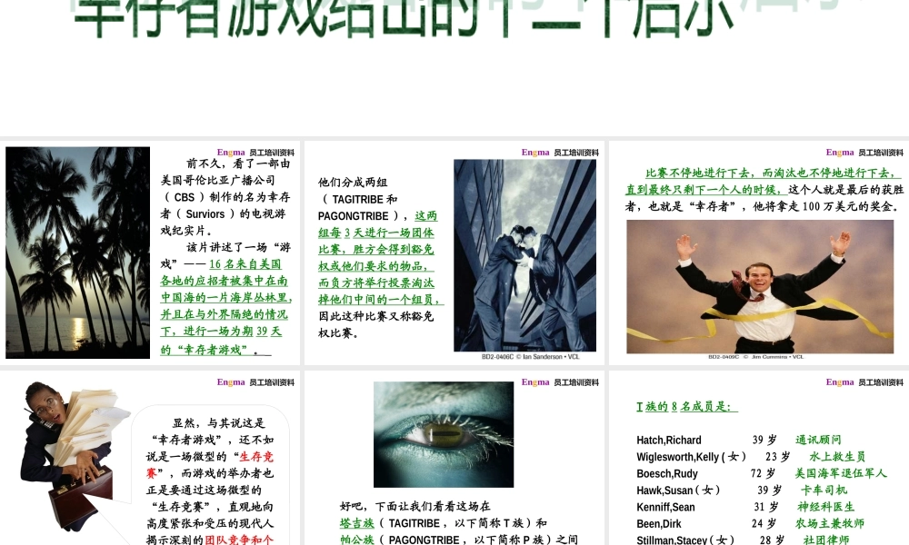 世界著名生存游戏启示录(团队建设)